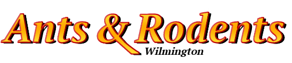 Wilmington Ant Exterminator & Rodent Control Company Logo